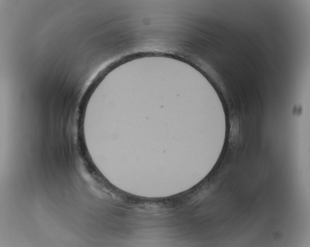 X0000113070580200910091210