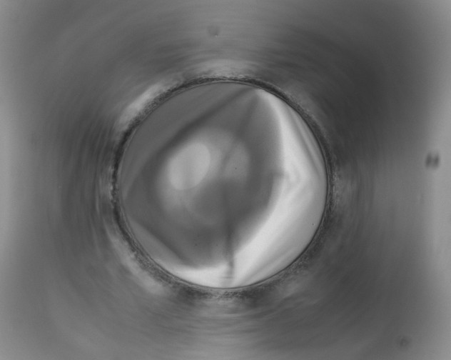 X0000113070581200910091210