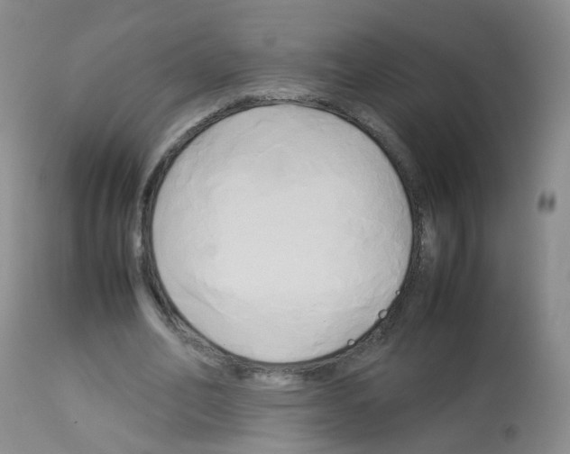 X0000113070582200910091210