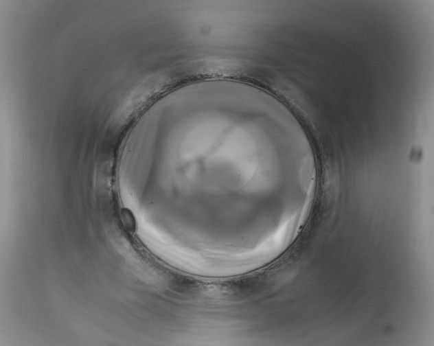 X0000113070585200910091210