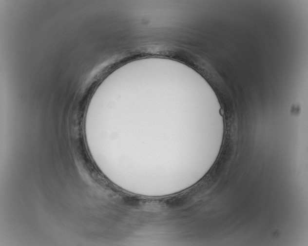 X0000113070587200910091210