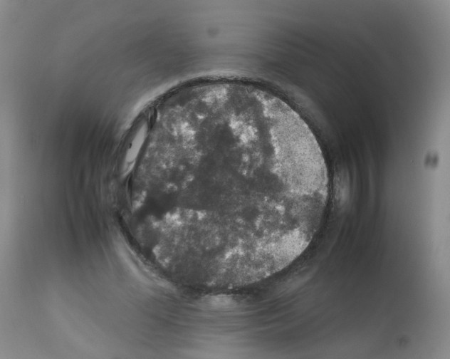 X0000113070588200910091210