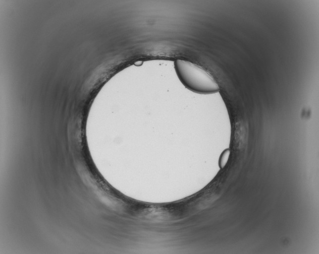 X0000113070589200910091210