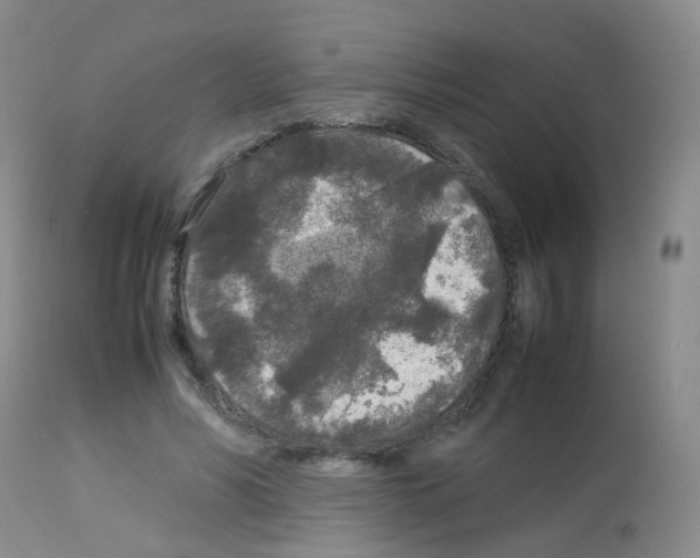 X0000113070590200910091210