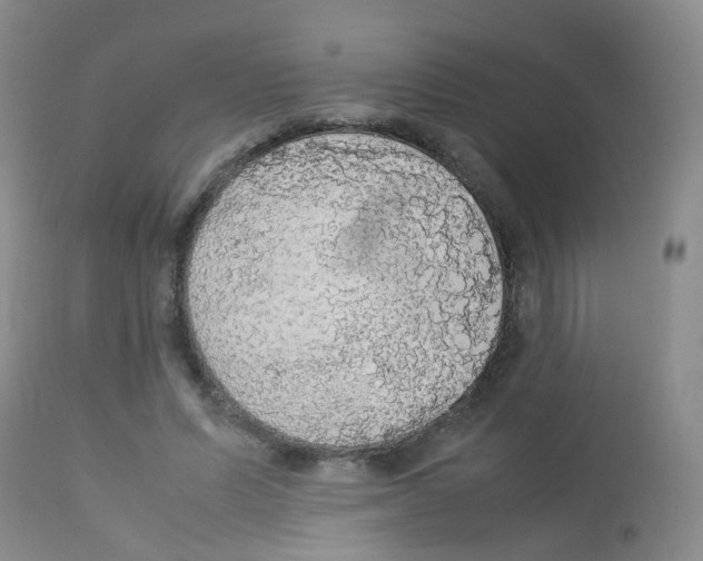 X0000113070591200910091210