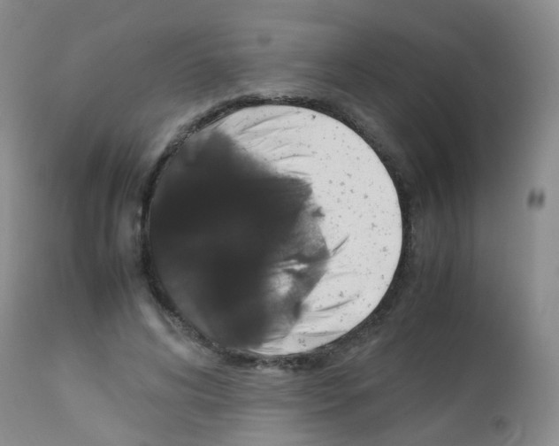 X0000113070592200910091210