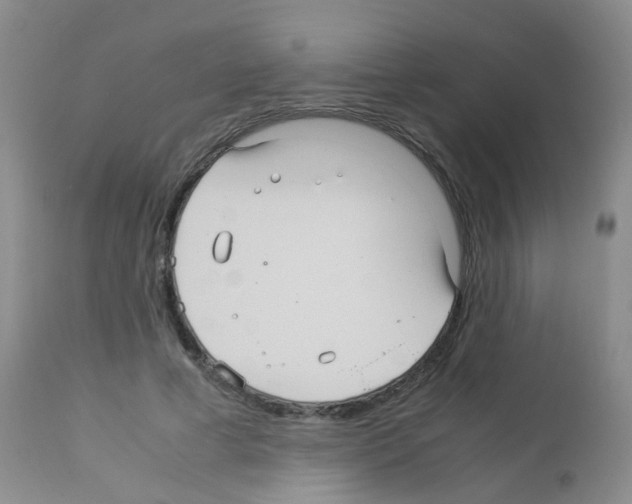 X0000113070593200910091210