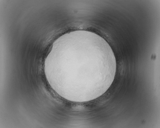 X0000113070594200910091210