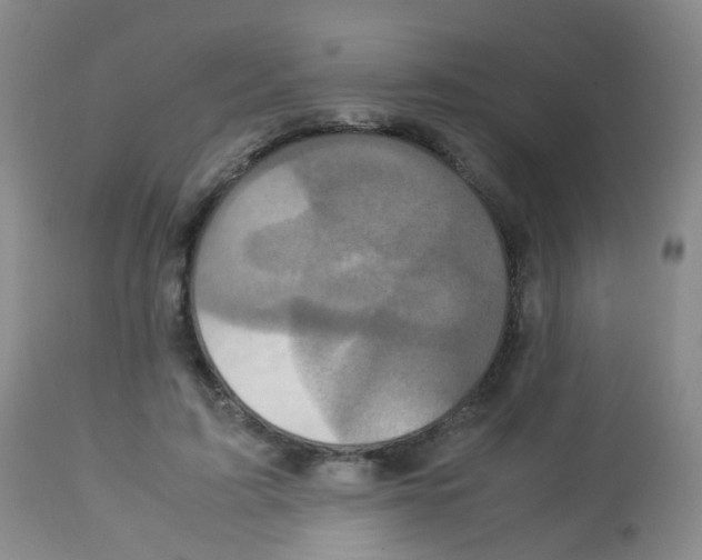 X0000113070595200910091210