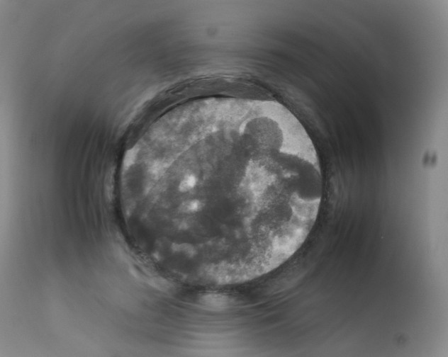 X0000113070596200910091210