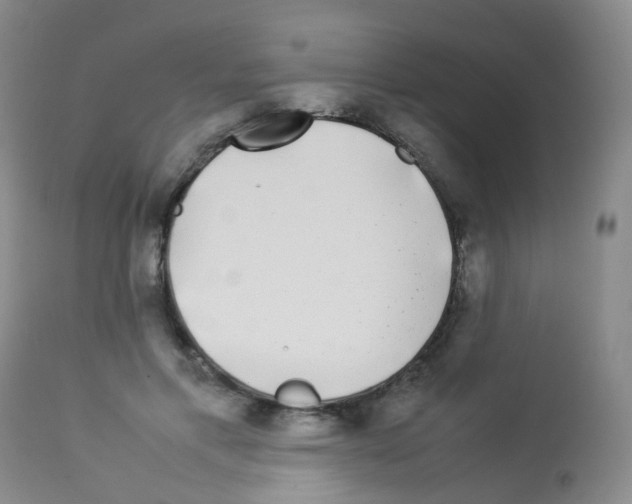 X0000113070597200910091210
