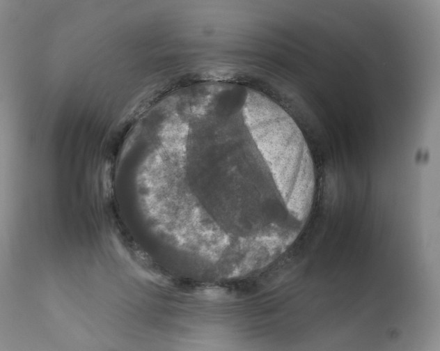 X0000113070598200910091210