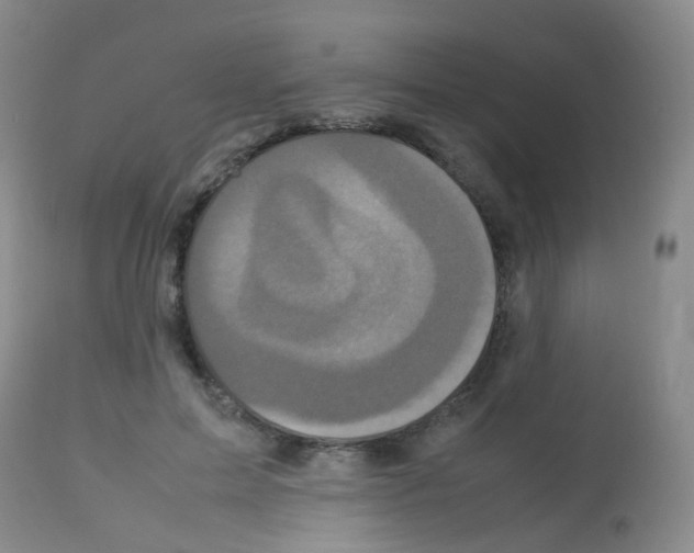X0000113070599200910091210