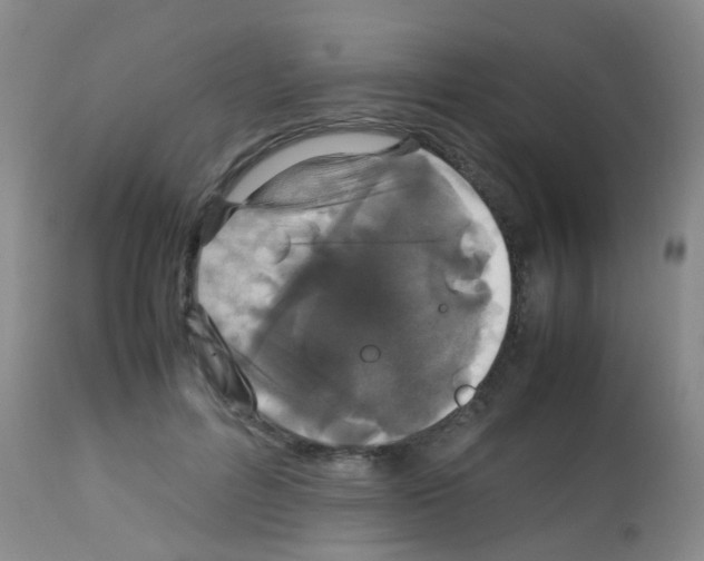 X0000113070600200910091210