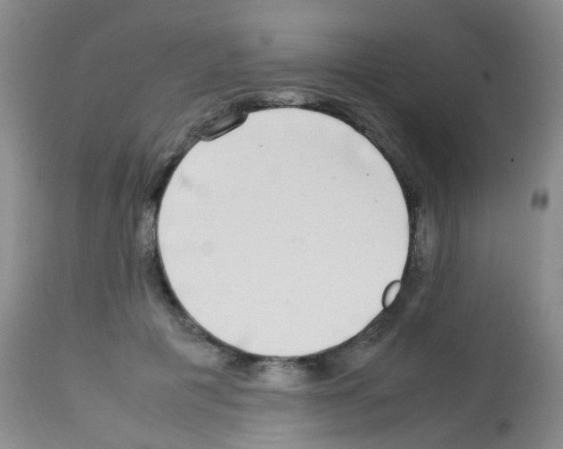 X0000113070601200910091210