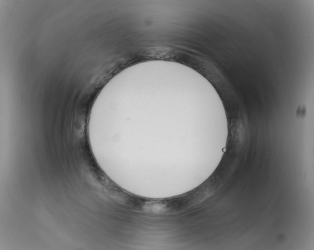X0000113070602200910091210