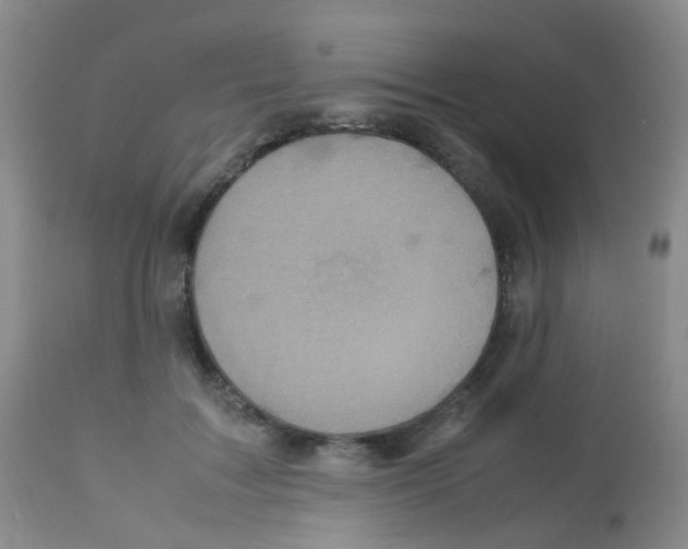 X0000113070603200910091210