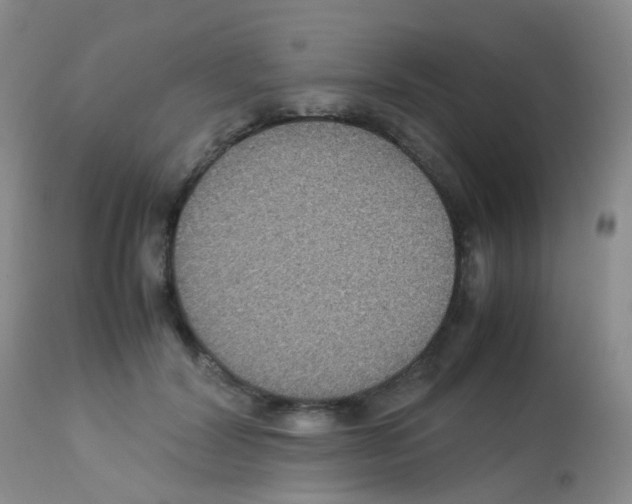 X0000113070604200910091210