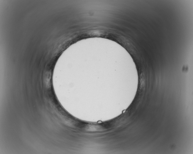 X0000113070605200910091210