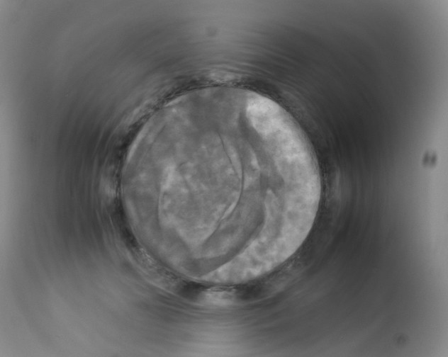 X0000113070606200910091210