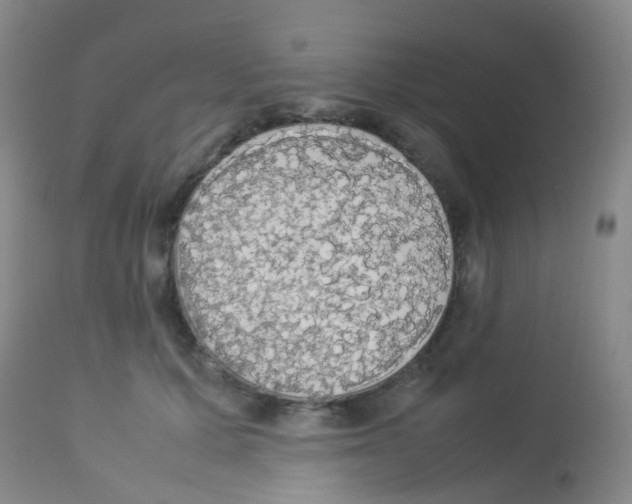 X0000113070607200910091210