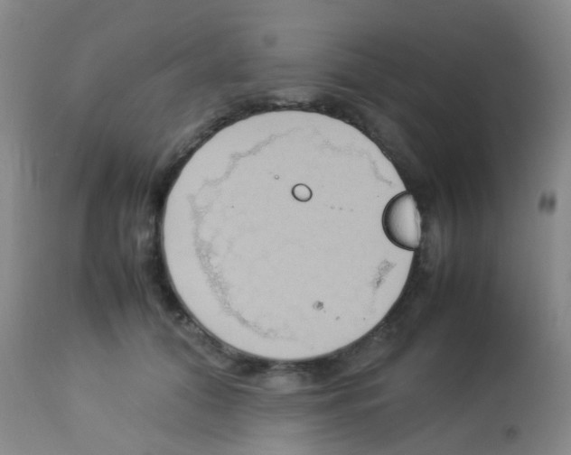 X0000113070608200910091210