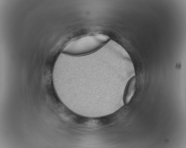 X0000113070609200910091210