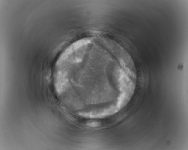 X0000113070610200910091210