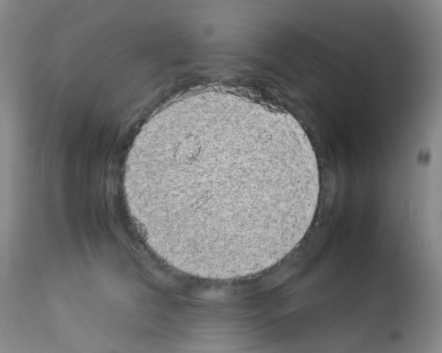 X0000113070612200910091210