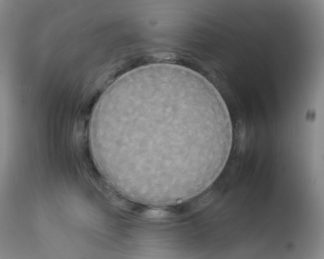 X0000113070614200910091210