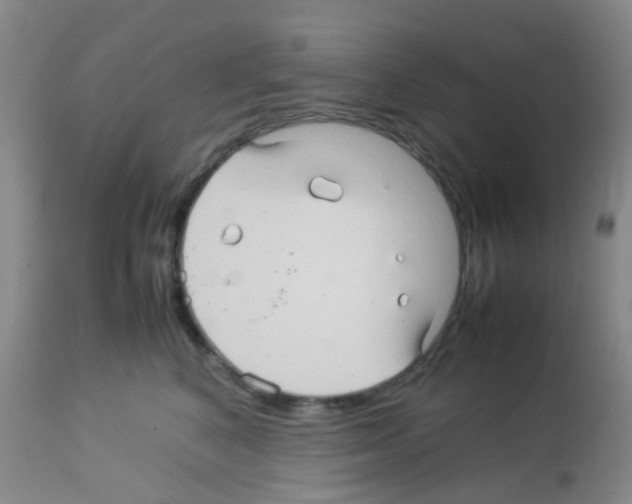 X0000113070616200910091210