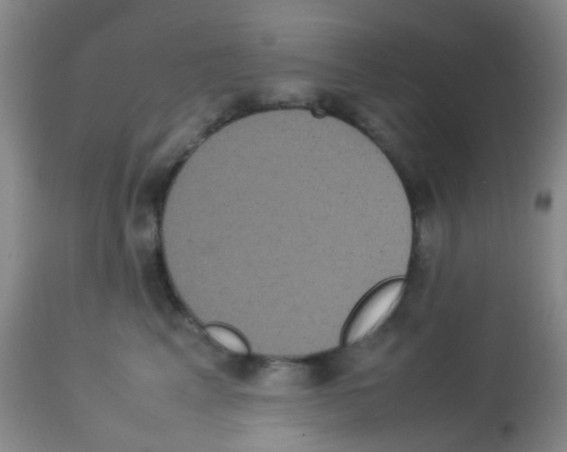 X0000113070617200910091209