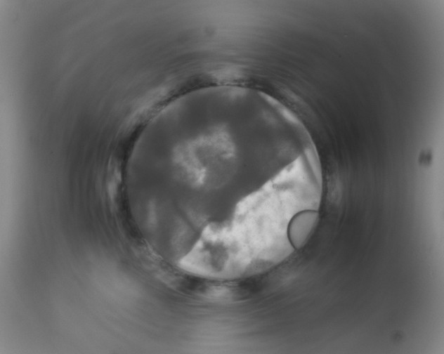 X0000113070618200910091209