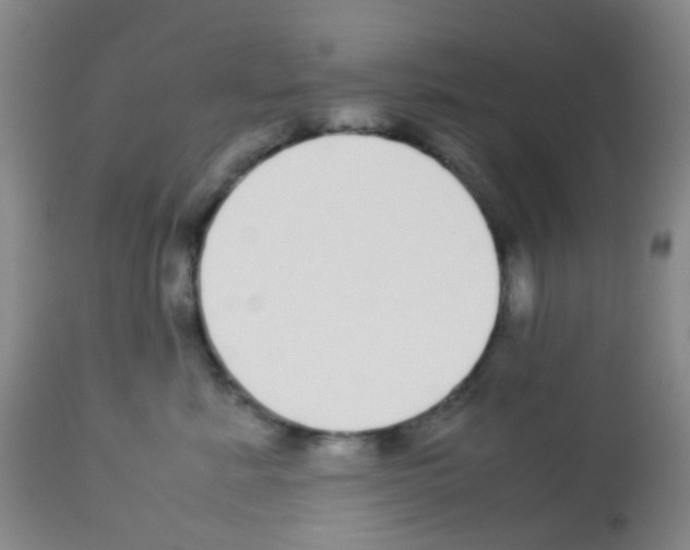 X0000113070619200910091209
