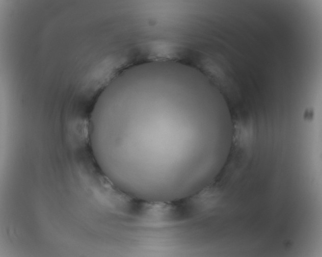 X0000113070621200910091209