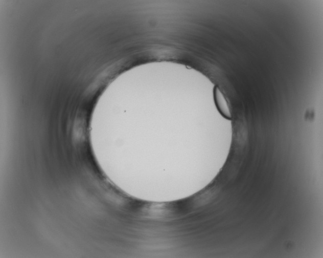 X0000113070622200910091209