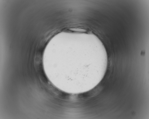 X0000113070623200910091209