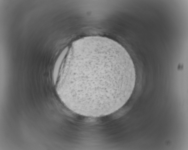 X0000113070624200910091209