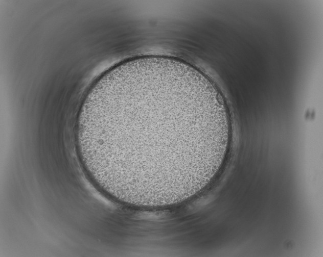 X0000113070625200910091209