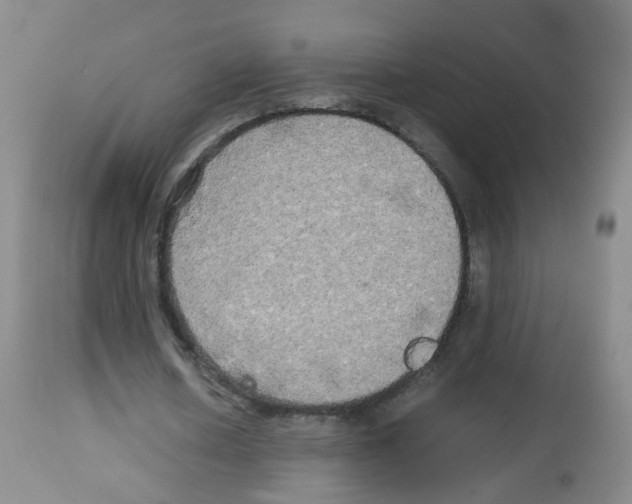 X0000113070626200910091209