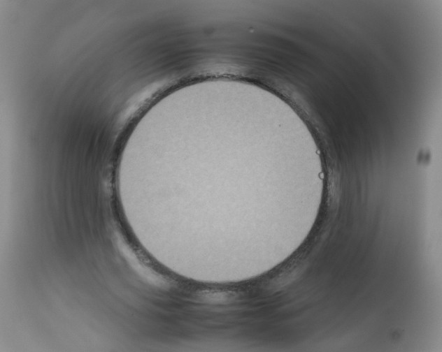 X0000113070629200910091209