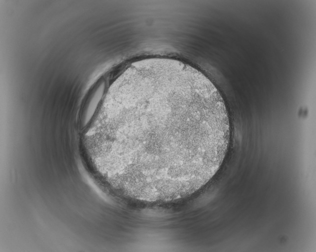 X0000113070630200910091209