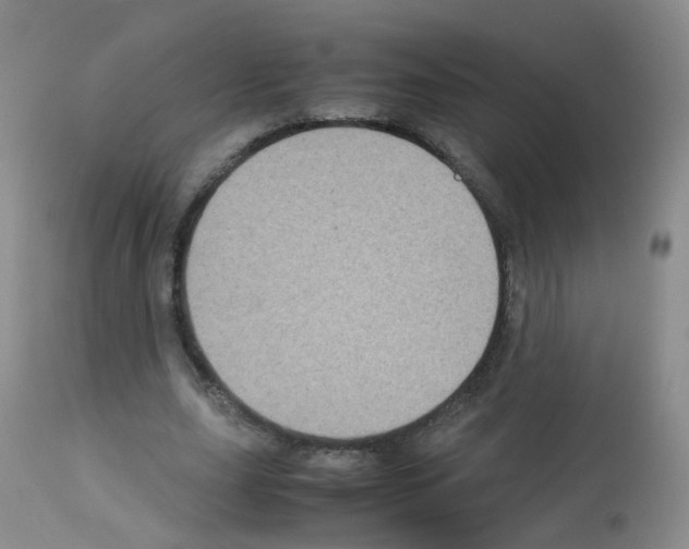 X0000113070631200910091209