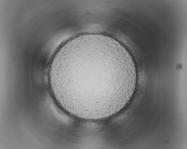 X0000113070632200910091209