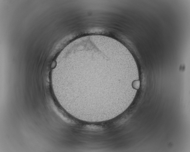 X0000113070633200910091209