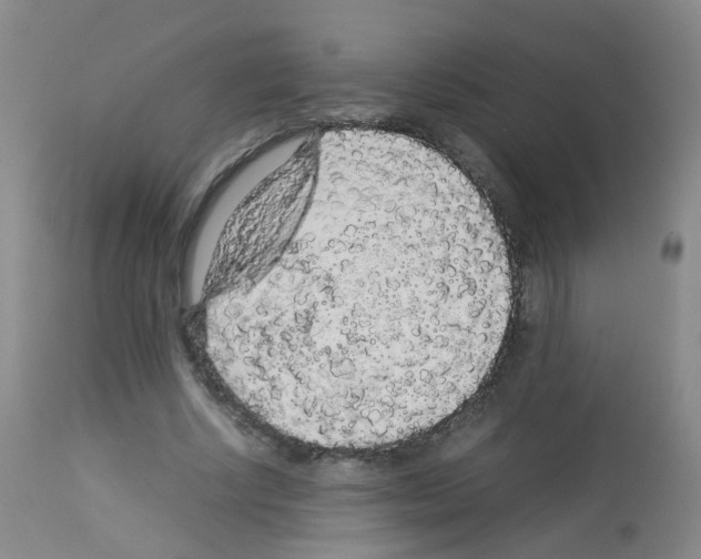 X0000113070634200910091209
