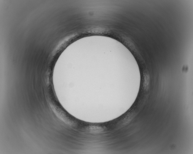 X0000113070636200910091209