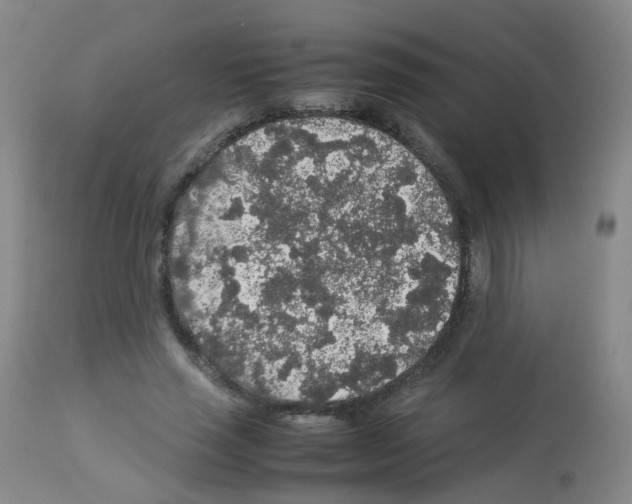 X0000113070637200910091209