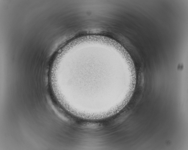 X0000113070638200910091209