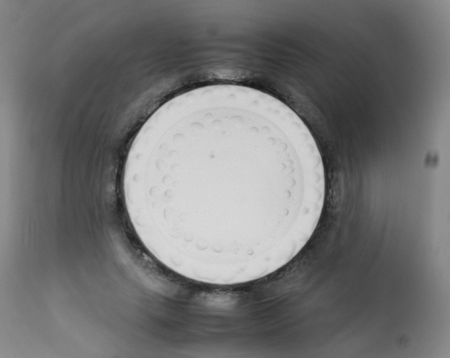 X0000113070639200910091209